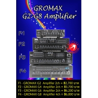 GROMAX Amplifier